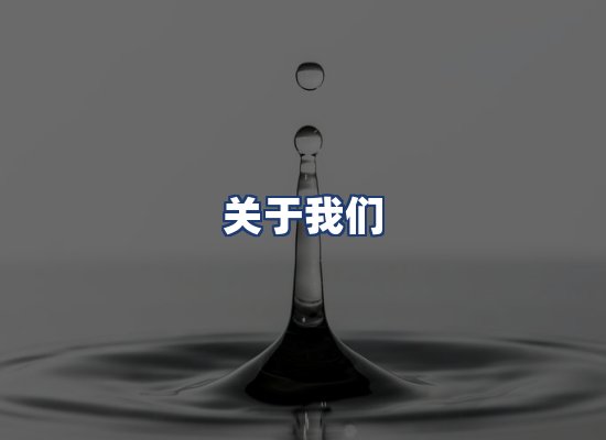 关于我们