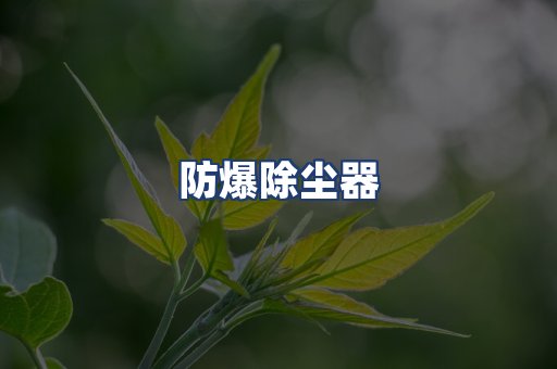 防爆除尘器